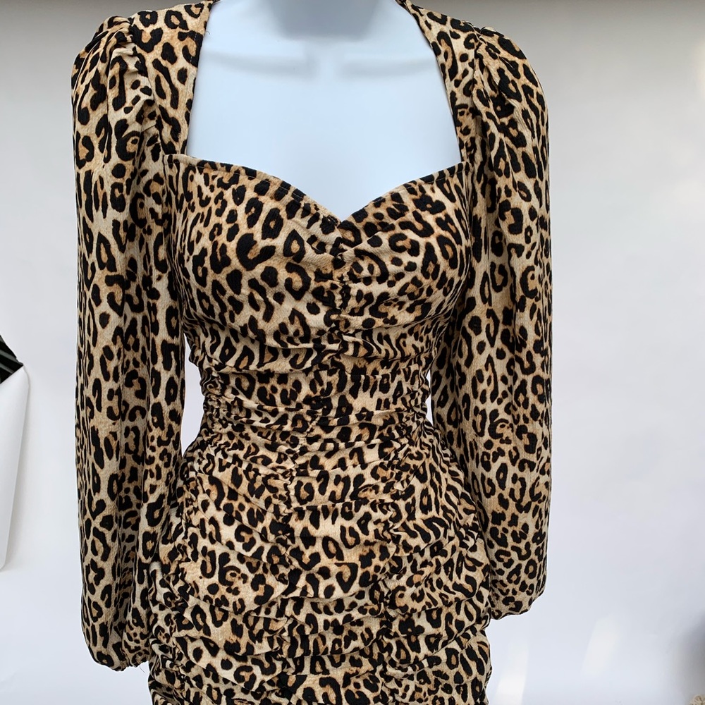 Ruched Long Sleeved Leopard Dress